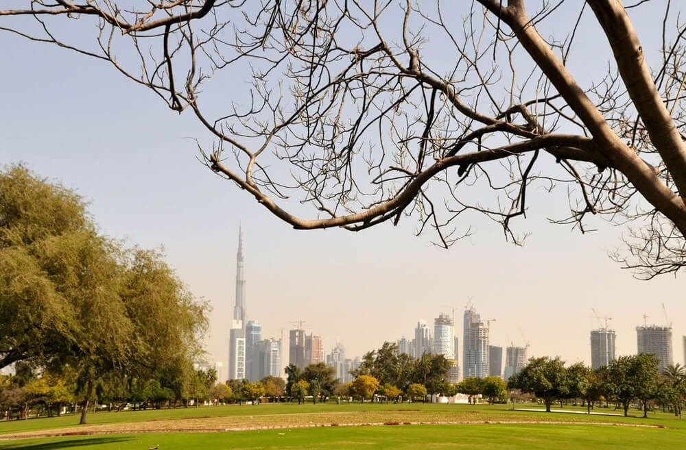 Park Dubai